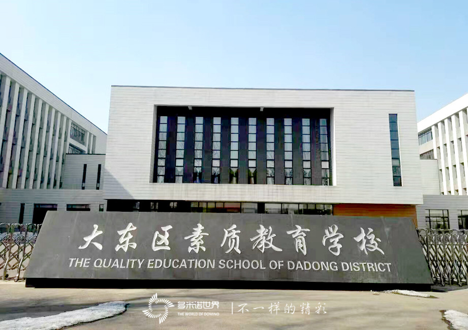 大東區(qū)素質(zhì)教育學(xué)校多米諾訓(xùn)練營開課